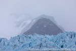 210911a_Smeerenburgbreen_34_E