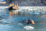 210903c_Hamiltonbukta_134_E
