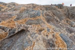 210904a_Blomstrand_18_E