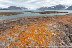 210904c_Observasjonsholmen_076_E