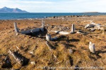 210907a_Gipshuksletta_05_E