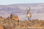 210907a_Gipshuksletta_24_E