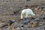 210830b_Lilliehookfjord_30_E