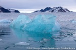 210830c_Lilliehookbreen_24_E