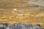 210824a_Observatoriefjellet_32_E