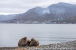 210715_Longyearbyen_18_E