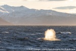 211031c_Kvaenangen_35_E