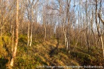 211101b_Skorpa_063_E