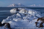 220130_Farmhamna_92_E
