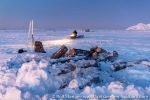 220203_Farmhamna_036_E