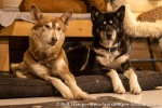 220208_Farmhamna_01_E