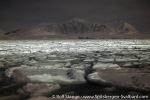 220208_Farmhamna_50_E
