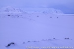 220210_Farmhamna_024_E