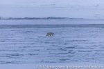 220211_Farmhamna_03_E