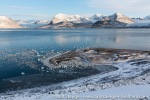 b1i_St-Jonsfjord_20Sept14_178_E