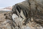 180718a_Reliktbukta_161_E