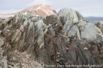 180718a_Reliktbukta_179_E