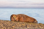 210808_Ratangen_12_E