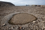 Bjørnøya, Bear Island, Bäreninsel: Teltvika, Kryoturbation