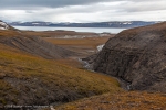 Barentsøya: Sundneset