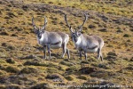 220822b_Observatoriefjellet_005_E