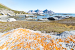 160727a_gnaalodden_098