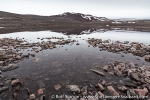 a5b_snaddvika_23juli14_11