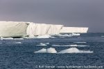 a5l_brasvellbreen_25juli14_25