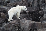 a5n_heleysund_26juli14_23