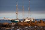 c2_Moffen_17Sept10_011