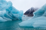 b4i_monacobreen_20sept15_072