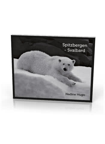 https://shop.spitzbergen.de/en/polar-books/18-spitzbergen-svalbard-monochrome-photo-book-nadine-hugo-9783937903323.html