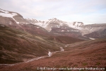 b3_stensiodalen_26juli07_05