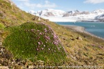 190628c_Fjortende-Julibukta_38