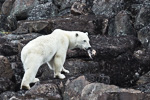 a5n_Heleysund_26Juli14_23