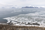 180527c_colinderodden_26