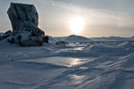 a8_Mohnbukta_07April14_275