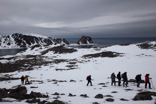 Day 7 - Ytre Norskøya, Danskøya