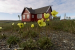 GrÃ¶nland (Upernavik-Thule), SV Rembrandt van Rijn 23. Juli-07. August 2012