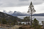 181031a_skarberget_61