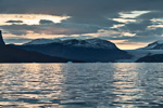 f8x_Harefjord_02Sept13_01