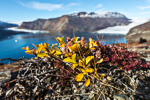 f8x_Harefjord_03Sept13_091