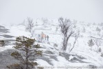 191030a_Skarberget_16