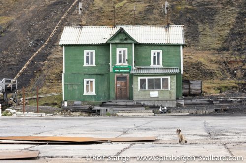 Gallery 5:Hornsund to Isfjord – Spitsbergen 2018