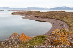 Gallery 2:Liefdefjord & Woodfjord – Spitsbergen 2018