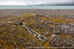 220911b_Engelskbukta_15_E