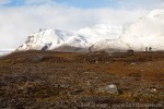 220912b_Gerdoya_069