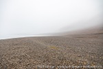 220907_Trygghamna_05_E