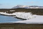 Tusenøyane: Delitschøya