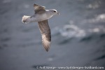 220430d_Barentssee_39_E
